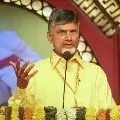 Chandrababu talks with party leaders via video conference