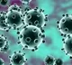 In the wake of Corona virus Telangana state announces Control Room Numbers