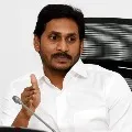 AP CM Jagan request to Telugu people in Various States