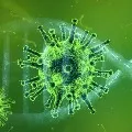 Coronavirus Cases Rise To 169 Says Health Ministry