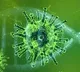 Coronavirus Cases Rise To 169 Says Health Ministry