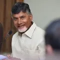 Niti Aayog vice chairman writes to TDP Chief Chandrababu Naidu
