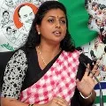 YSRCP Mla Roja statement