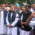 Rahul Gandhi and other Congress MPs protest near Mahatma Gandhi statue at Parliament