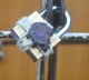 Bangaluru Officials sealed software engineers flat