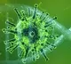 UK Pledges 39 Billion Dollors to Protect Economy From Coronavirus
