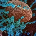 India witnesses more deaths due to covid