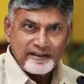 Chandrababunaidu Video conference with polit bureau