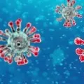 Coronavirus cases in India cross 42000mark 1373 deaths