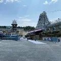 Wild animals appears in Tirumala roads