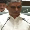 Telangana got two digit growth amid financial crisis says Harish Rao