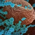 corona virus first case registered in Khammam