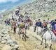Amarnath Yatra has been canceled and decision taken back