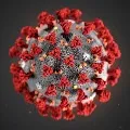 Corona virus causes heart failure