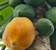 Papaya Gets Corona Positive in Tanjania