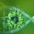 coronavirus cases in india