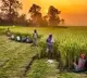 Kanna Lakshminarayana tells Centre deposits two thousand rupees into farmers accounts