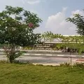 143 NRIs Landed in Gannavaram Airport