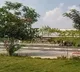 143 NRIs Landed in Gannavaram Airport