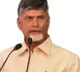 Chandrababu severe comments on Minister Peddy Reddy