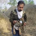 Tiger cub found in Chandrapur