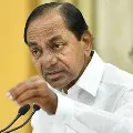 14 corona positive cases in Telangana in one day