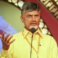 TDP supremo Chandrababu questions AP government over BC reservations