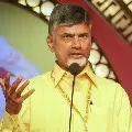TDP supremo Chandrababu questions AP government over BC reservations