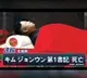 Kim Jong un fake photo gone viral