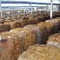 GVL tweets about tobacco farmers
