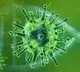 coronavirus spread in china italy