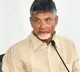 Chandrababau reacts on Jagan comments