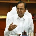 CM KCR reviews corona situations