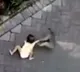 Monkey Kidnap Attempt goes Viral