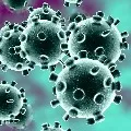Corona Virus Expands to 43 People in India