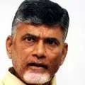 Chandrababu express his condolence