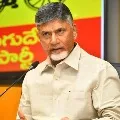 Chandrababu asks where is YS Jagan