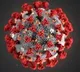 false negative results are complicating corona tests
