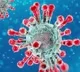 Police case filed against Indonesians who prevailes corona virus in Karimnagar