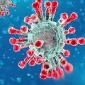 coronavirus cases in india