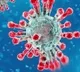 coronavirus cases in india