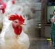 Chicken Mutton sales ban at West Godavari
