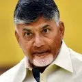Chandarababu has written a letter to central Minister Jaishanker