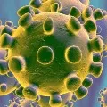 17 Tamil passengers stuck on ship over corona virus