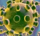 17 Tamil passengers stuck on ship over corona virus