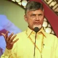 Chandrababu comments on Mansas Trust dispute