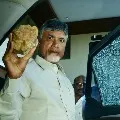 Chandrababu Angry on YSRCP