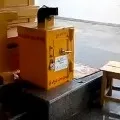Temple hundi stolen