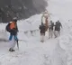 Chardham Yatra Started amid Heavy Snow and Lockdown