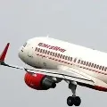 Domestic flights resume from the 15th of this month